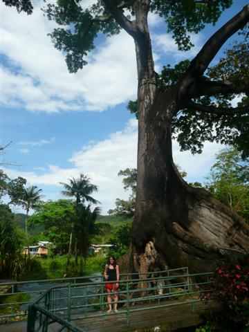 Name:  jamaica 2009 me and nicole 233 (Small).jpg
Views: 682
Size:  45.9 KB