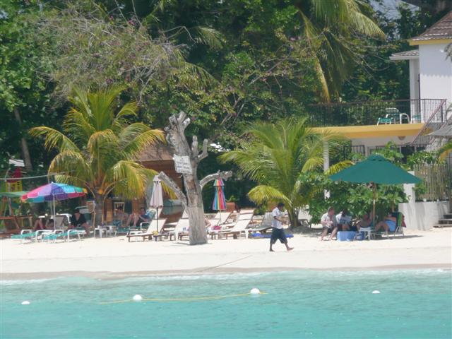 Name:  jamaica 2009 me and nicole 257 (Small).jpg
Views: 750
Size:  68.7 KB