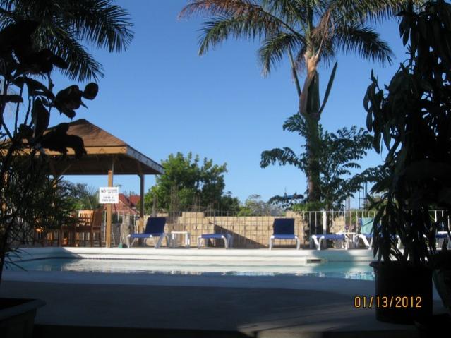 Name:  IMG_6459.jpg
Views: 675
Size:  51.2 KB