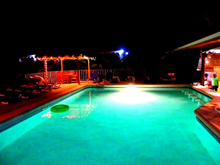 Name:  Seastar 15.jpg
Views: 308
Size:  43.5 KB
