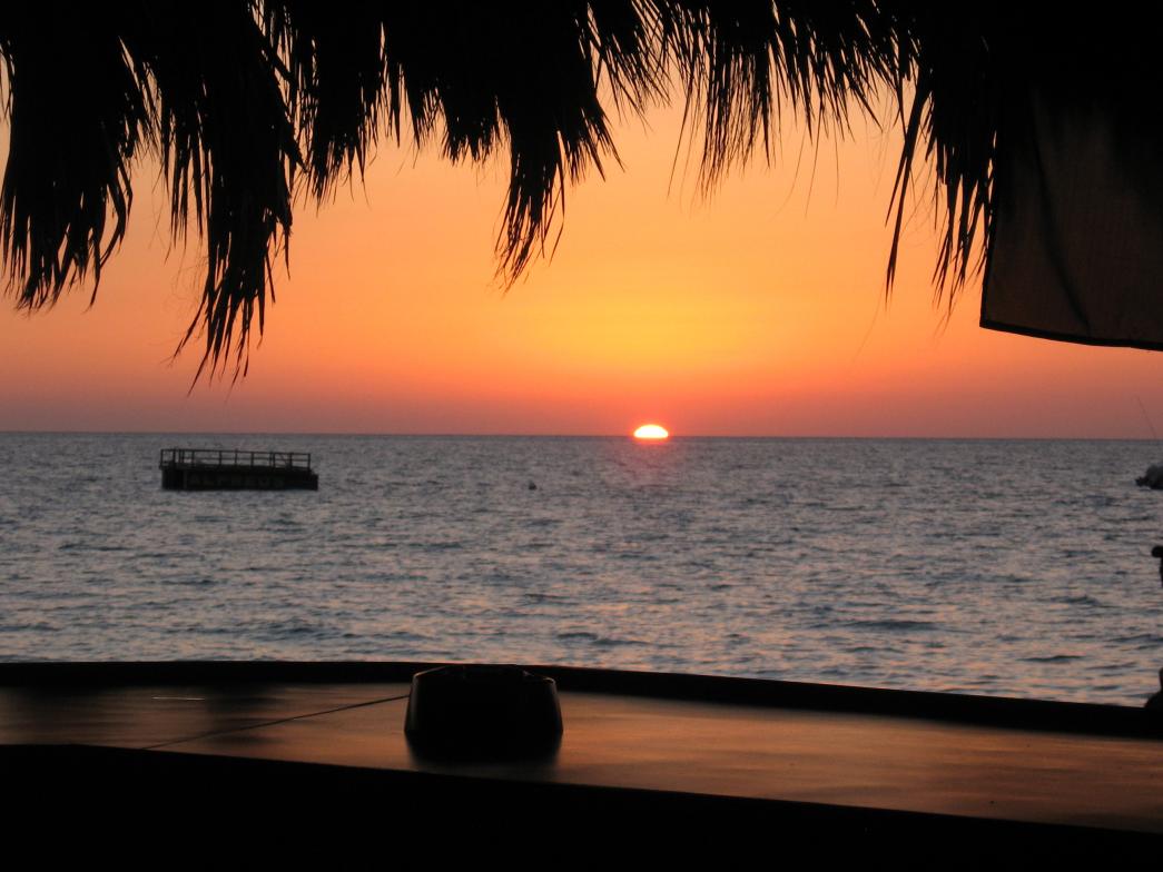 Name:  1071.jpg
Views: 375
Size:  89.2 KB