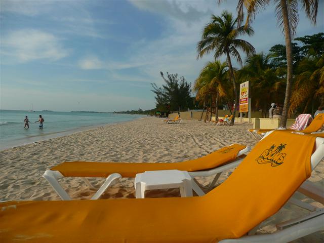 Name:  jamaica 2009 me and nicole 280 (Small).jpg
Views: 327
Size:  51.6 KB