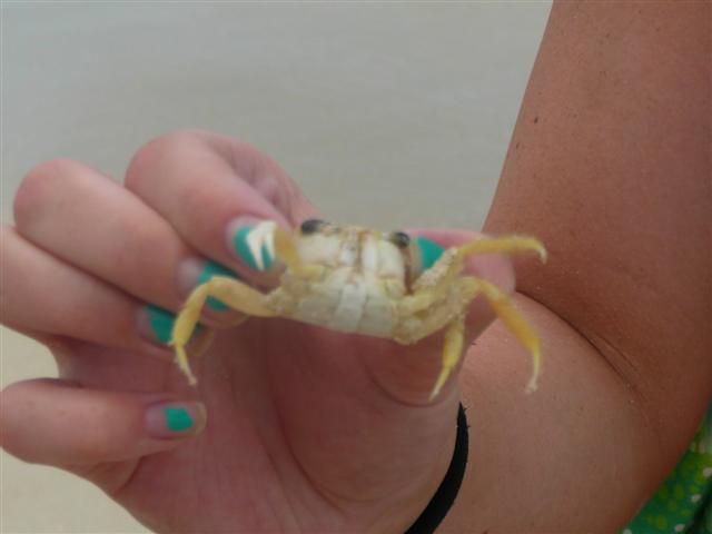 Name:  jamaica 2009 me and nicole 322 (Small).jpg
Views: 313
Size:  24.5 KB