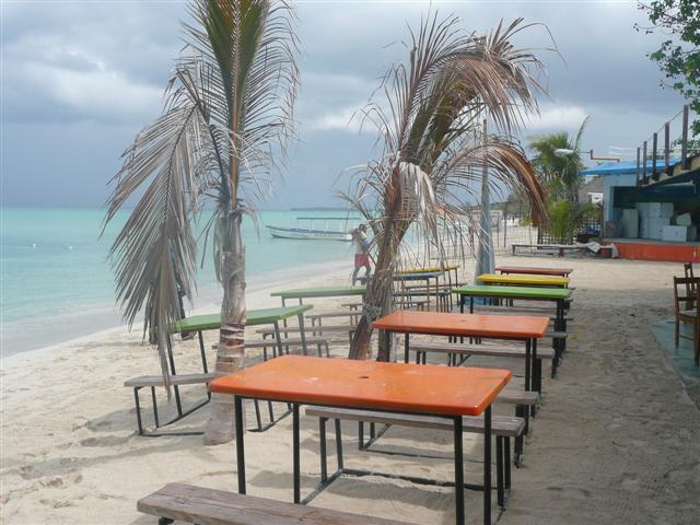 Name:  jamaica 2009 me and nicole 362 (Small).jpg
Views: 275
Size:  65.9 KB