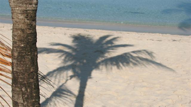 Name:  jamaica 2009 me and nicole 490 (Small) (3).jpg
Views: 270
Size:  36.7 KB