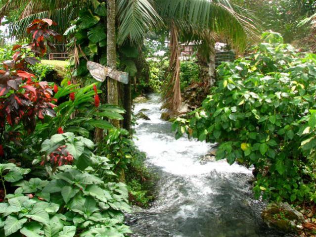 Name:  jamaica 2009 me and nicole 670 (Small).jpg
Views: 290
Size:  80.4 KB