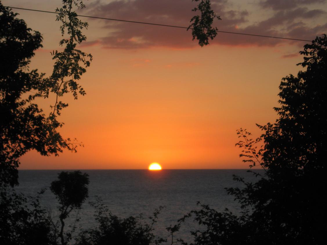Name:  IMG_2420.jpg
Views: 1000
Size:  85.9 KB