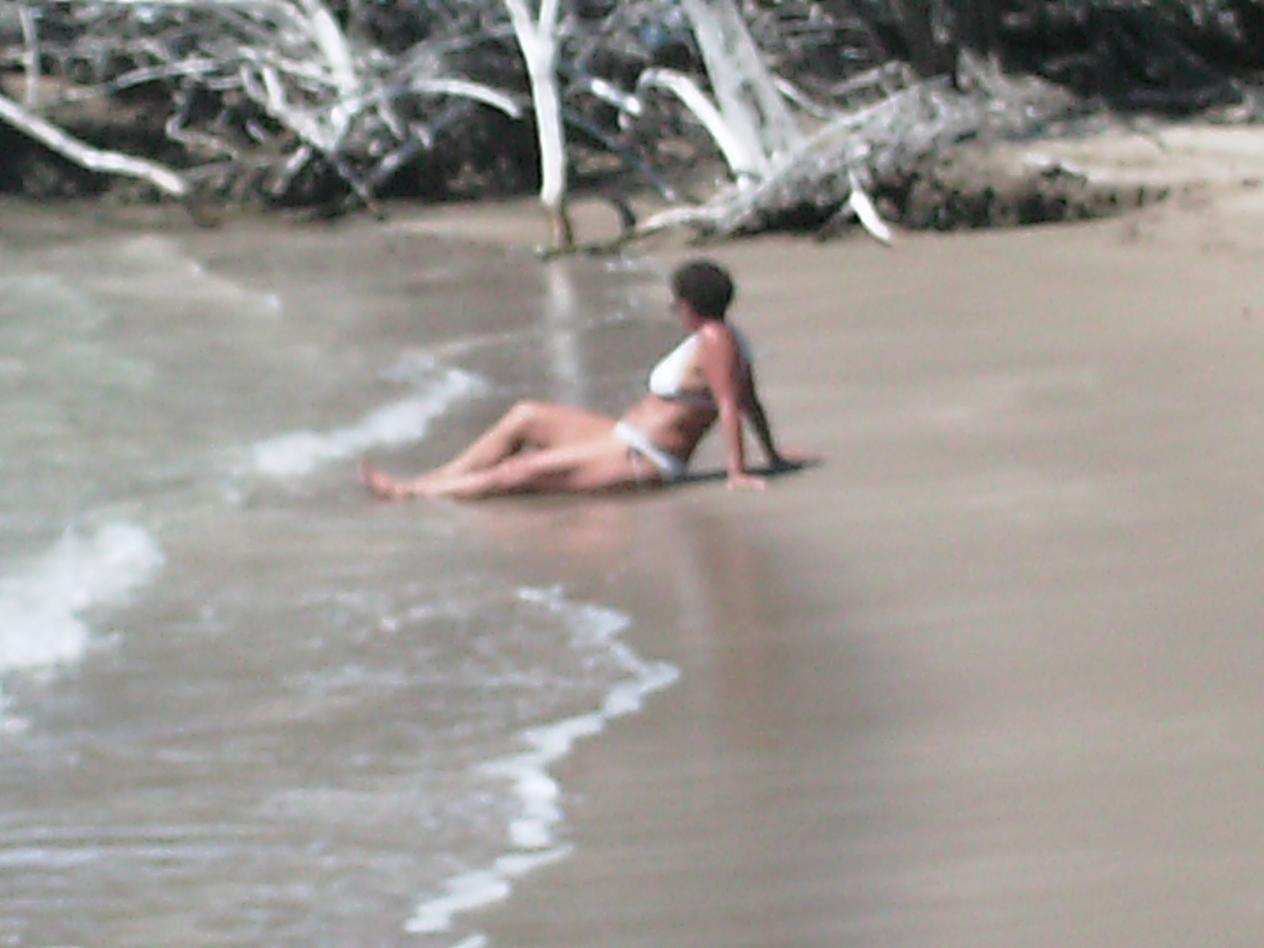 Name:  PICT0041.jpg
Views: 1005
Size:  80.7 KB