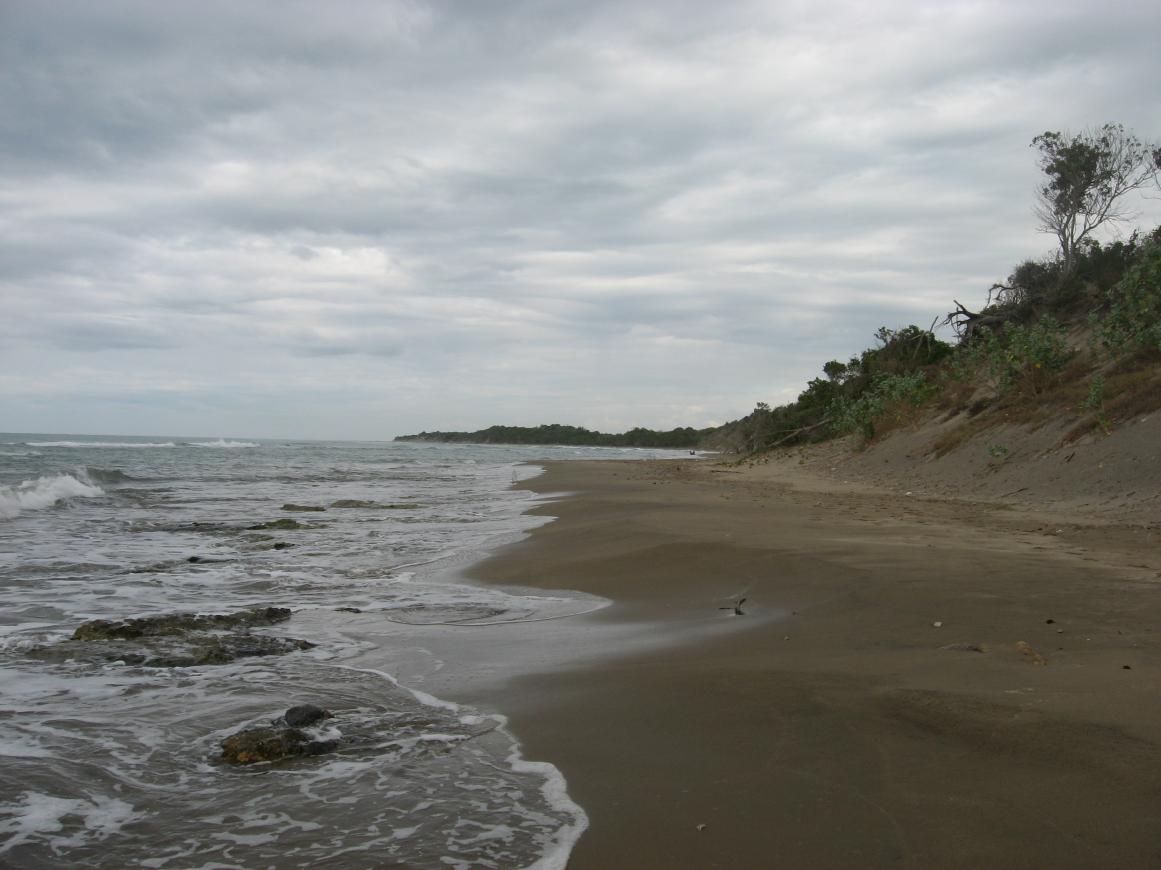 Name:  IMG_0165.jpg
Views: 970
Size:  90.1 KB