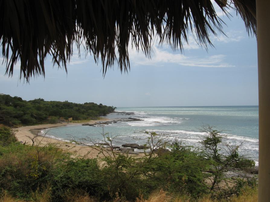 Name:  IMG_0116.jpg
Views: 944
Size:  95.6 KB