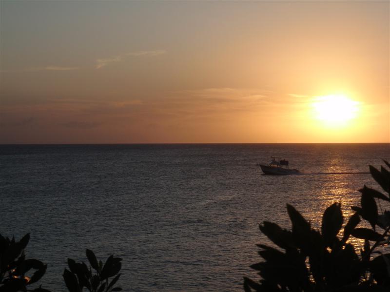 Name:  PC190186 (Medium).JPG
Views: 713
Size:  54.0 KB
