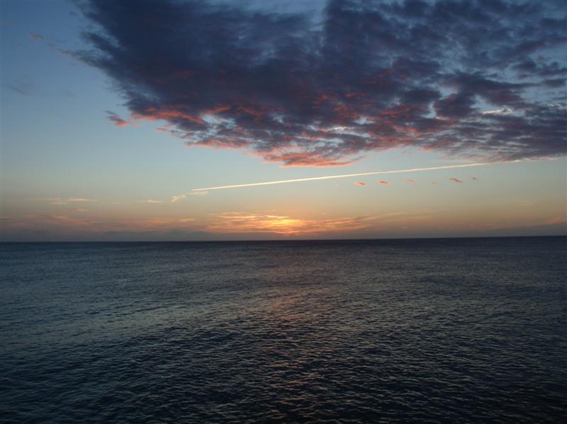 Name:  PC190201 (Medium).JPG
Views: 718
Size:  66.5 KB