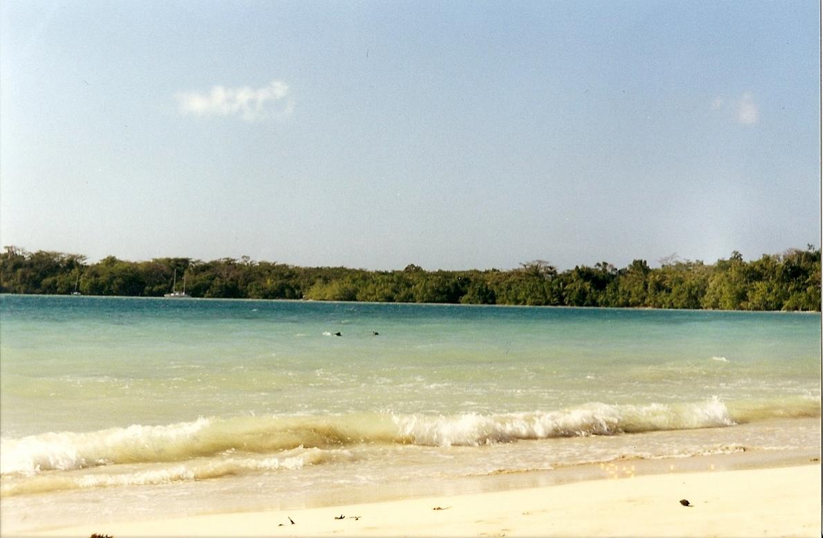 Name:  scan0003.jpg
Views: 434
Size:  92.5 KB