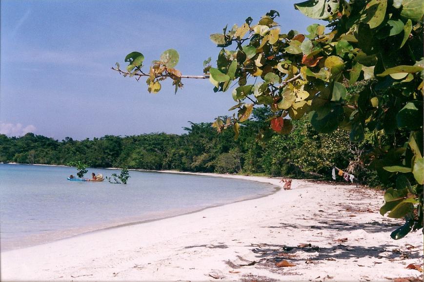 Name:  scan0010.jpg
Views: 381
Size:  98.8 KB