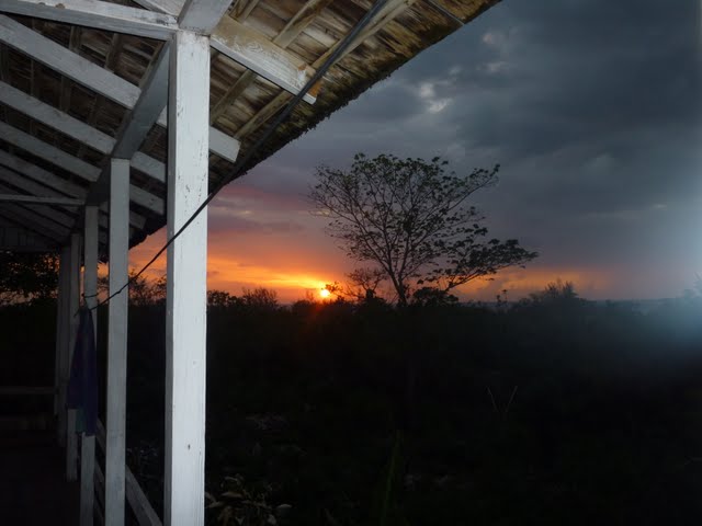 Name:  P1000297.JPG
Views: 754
Size:  47.5 KB