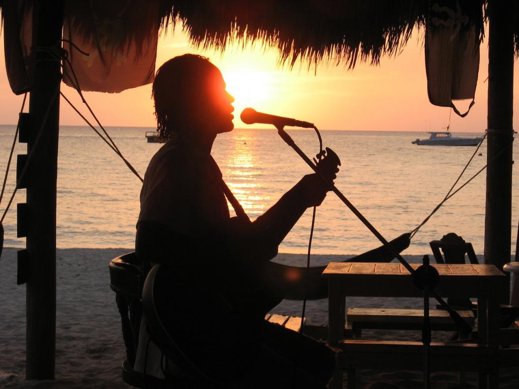 Click image for larger version. 

Name:	Singer.jpg 
Views:	1173 
Size:	86.9 KB 
ID:	952