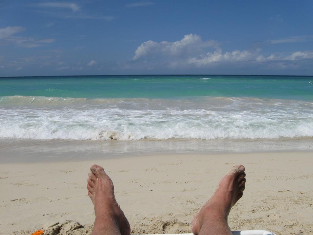Name:  feet.jpg
Views: 519
Size:  65.1 KB