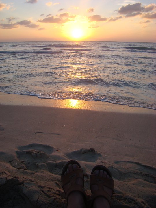 Name:  jamaica.jpg
Views: 435
Size:  71.7 KB
