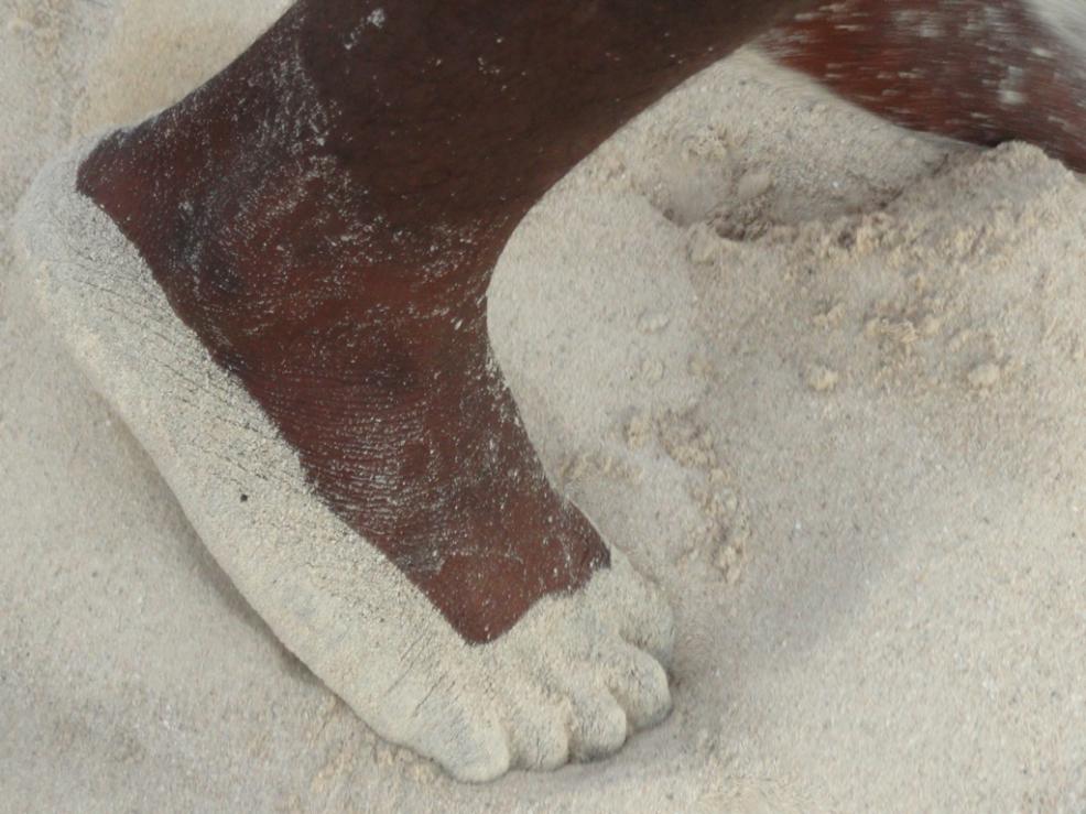 Name:  feet in sand .jpg
Views: 399
Size:  93.0 KB