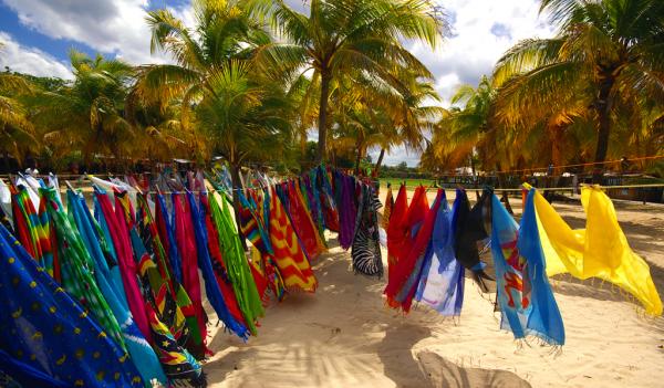 Name:  Hanging Out in the Palms resize.jpg
Views: 1150
Size:  55.2 KB