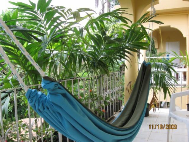 Name: hammocks.jpg
Views: 405
Size: 65.5 KB