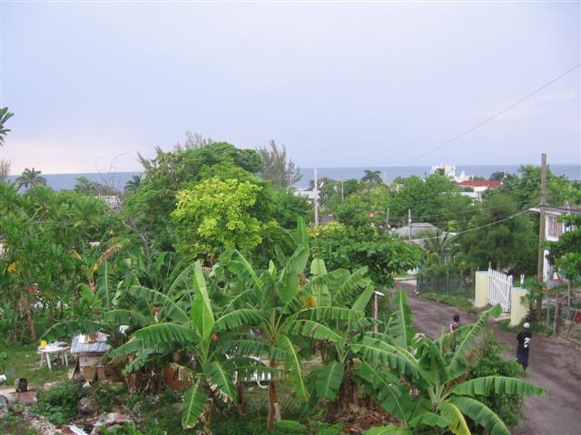 Name:  IMG_1161 (Small).JPG
Views: 604
Size:  58.2 KB