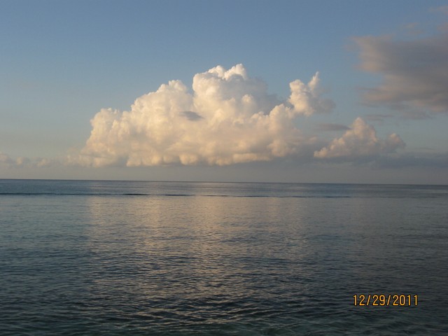 Name:  IMG_6085.JPG
Views: 326
Size:  56.4 KB