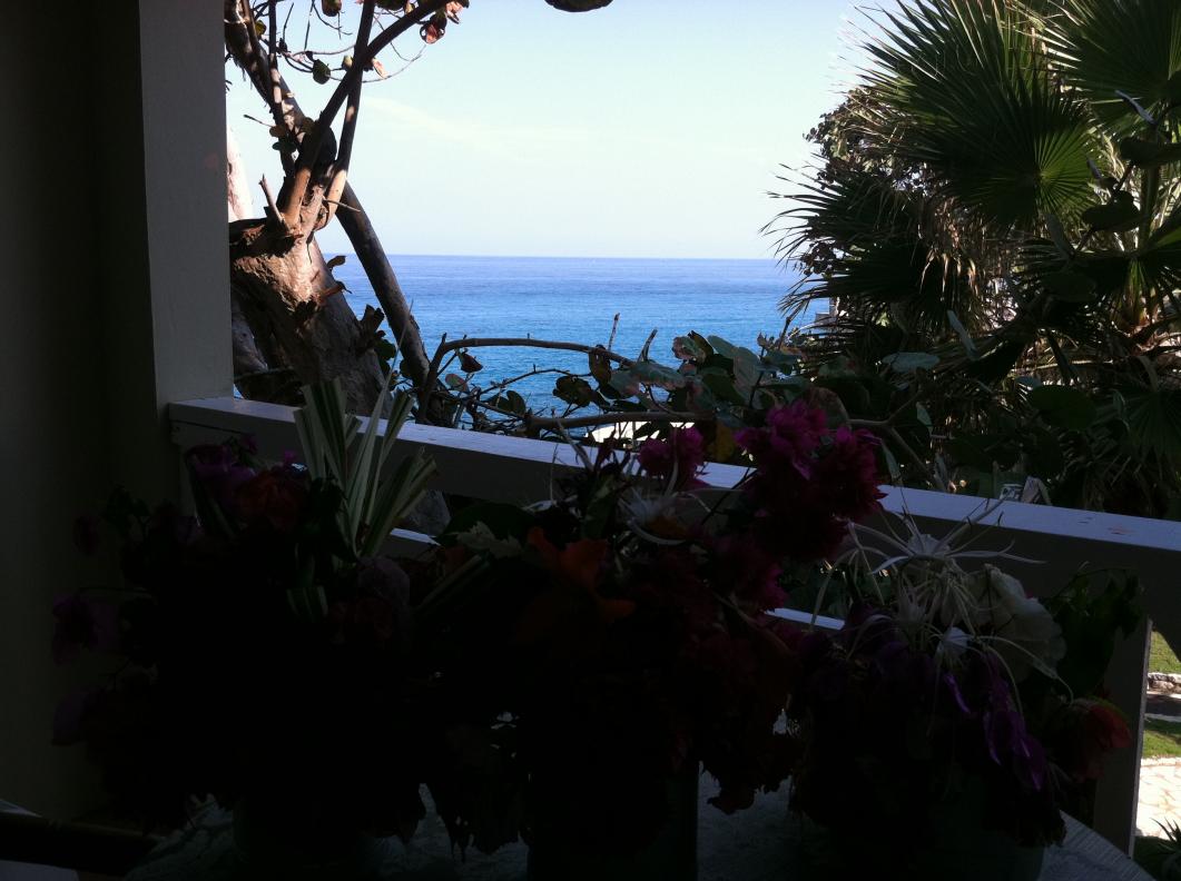 Name:  IMG_0654.jpg
Views: 603
Size:  90.6 KB