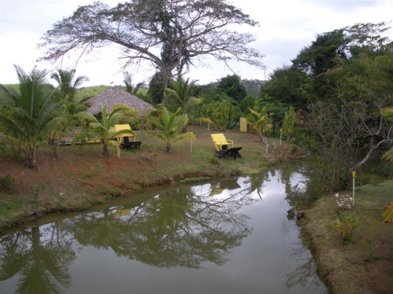 Name:  2012 Jan Negril 076 (Medium).jpg
Views: 992
Size:  74.8 KB