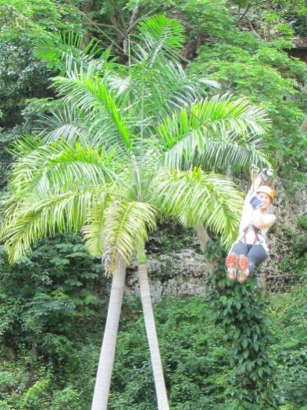 Name:  Jamaica 2011 - May 30 - Discovery Falls - IMG_0547.jpg
Views: 494
Size:  65.2 KB