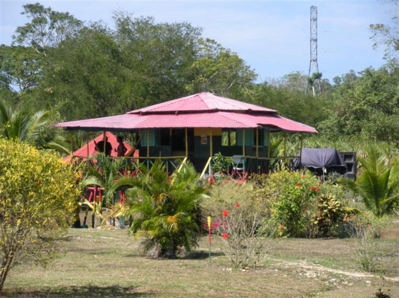 Name:  Negril Feb 2011 040 (Medium).jpg
Views: 792
Size:  96.9 KB