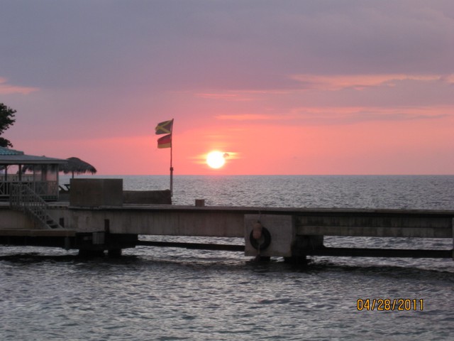 Name:  IMG_5070.JPG
Views: 279
Size:  58.3 KB