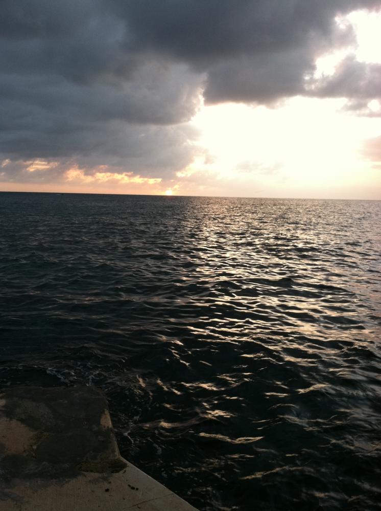 Name:  IMG_0501.jpg
Views: 976
Size:  92.4 KB