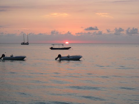 Name:  IMG_0157.JPG
Views: 440
Size:  29.9 KB