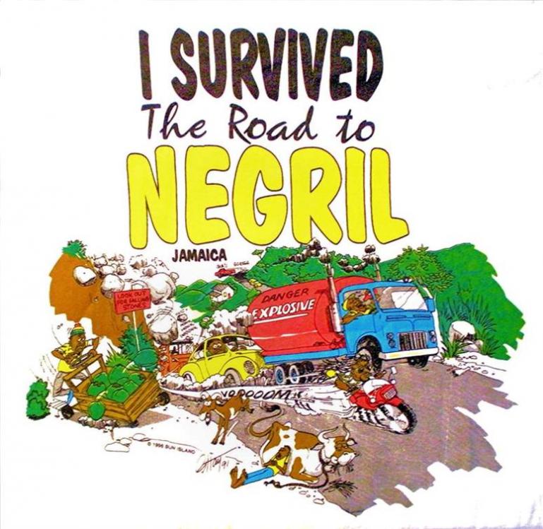 Name:  I Survived the Road To Negril   FIRST PROOFl (Medium) (Custom).jpg
Views: 719
Size:  88.3 KB