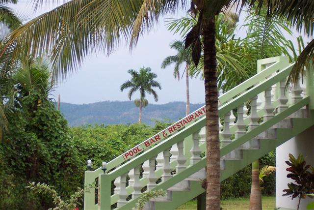 Name:  Spring Run 2009 006 (Small).jpg
Views: 993
Size:  63.9 KB