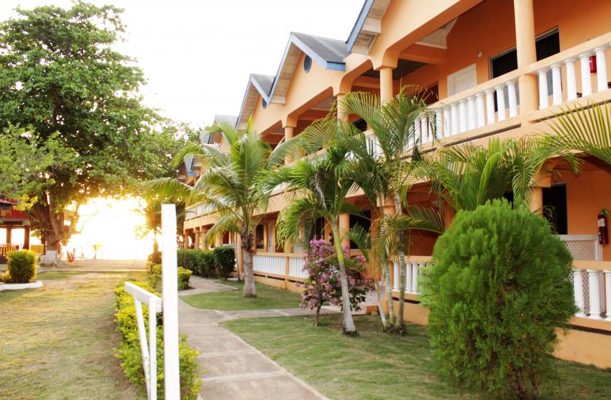 Name: Tamboo.jpg
Views: 502
Size: 101.0 KB