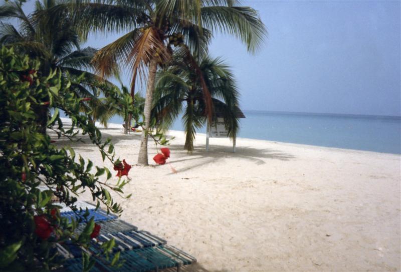 Name:  White Sand.JPG
Views: 293
Size:  63.3 KB