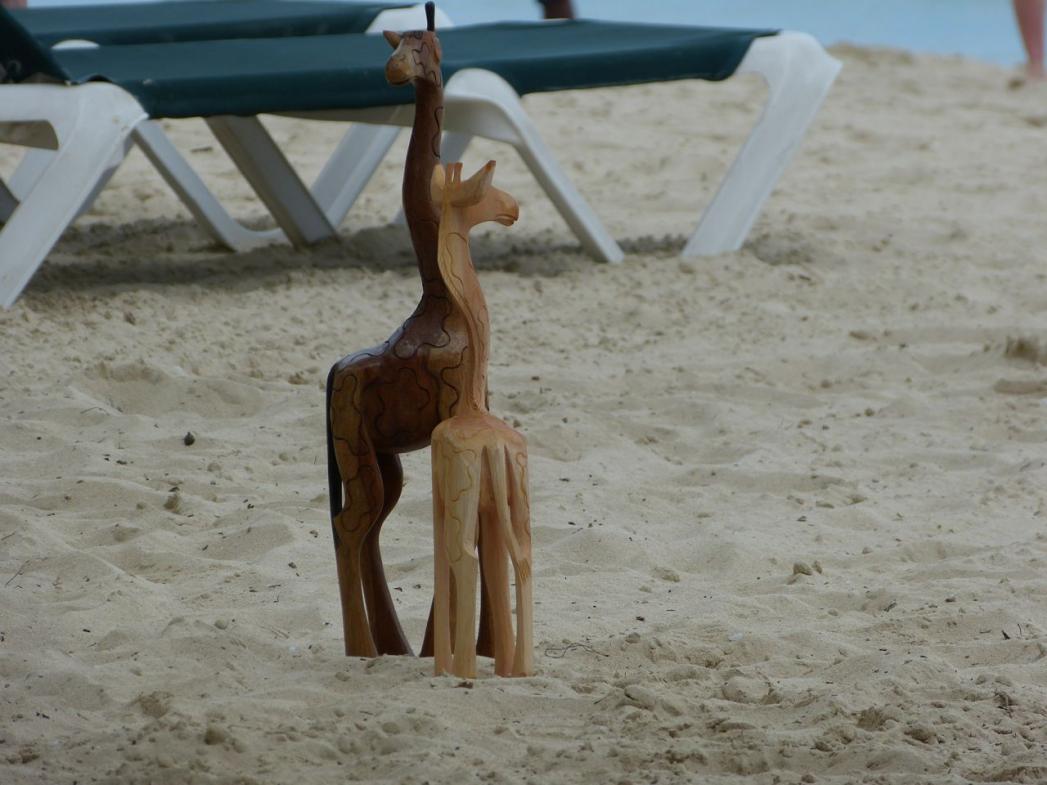 Name: P1000198.jpg
Views: 425
Size: 89.2 KB