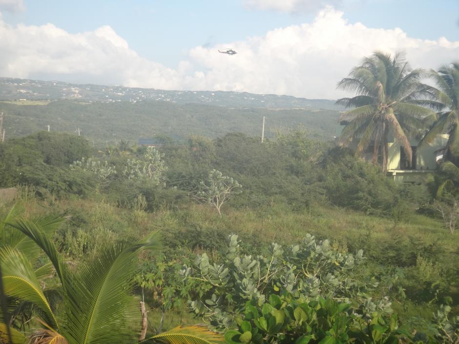 Name: 348.jpg
Views: 1106
Size: 95.4 KB