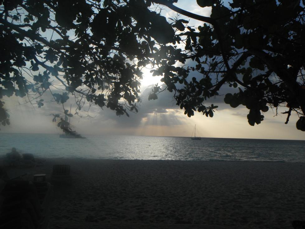 Name: DSCF1194.jpg
Views: 1470
Size: 90.5 KB