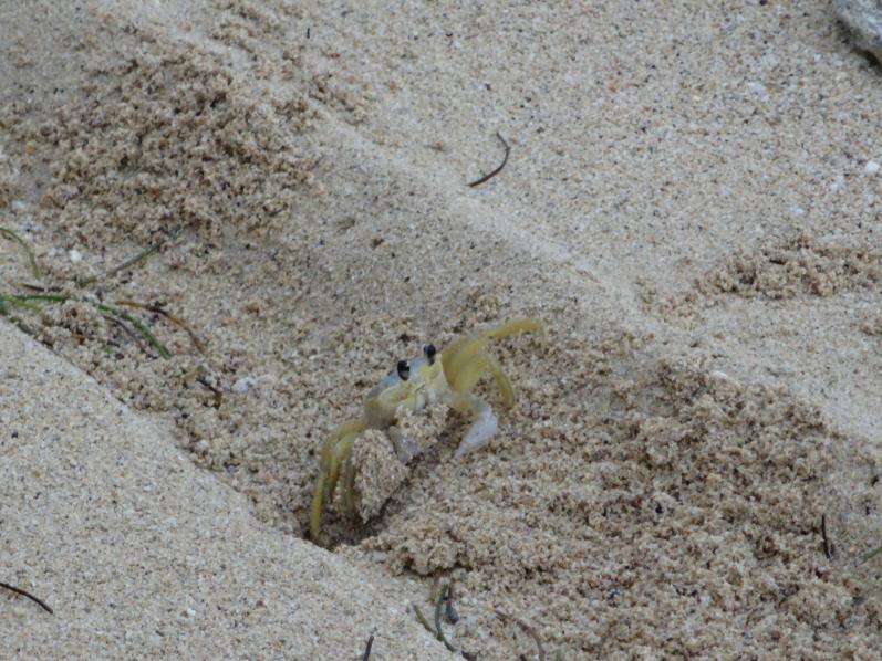 Name: DSC03539.jpg
Views: 738
Size: 98.4 KB