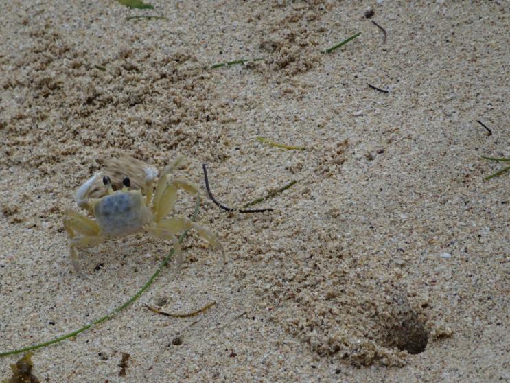 Name: DSC03551.jpg
Views: 732
Size: 99.6 KB