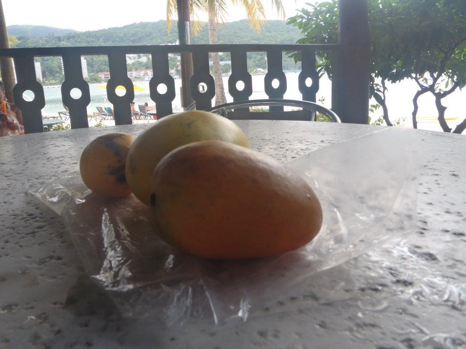 Name: 5.JPG
Views: 1261
Size: 82.2 KB