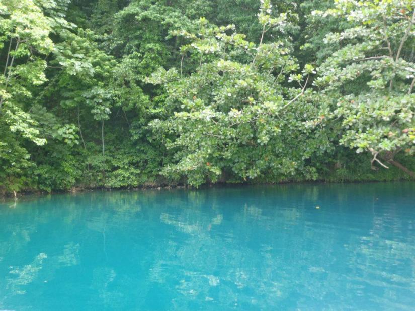 Name: BL1.jpg
Views: 1026
Size: 97.4 KB