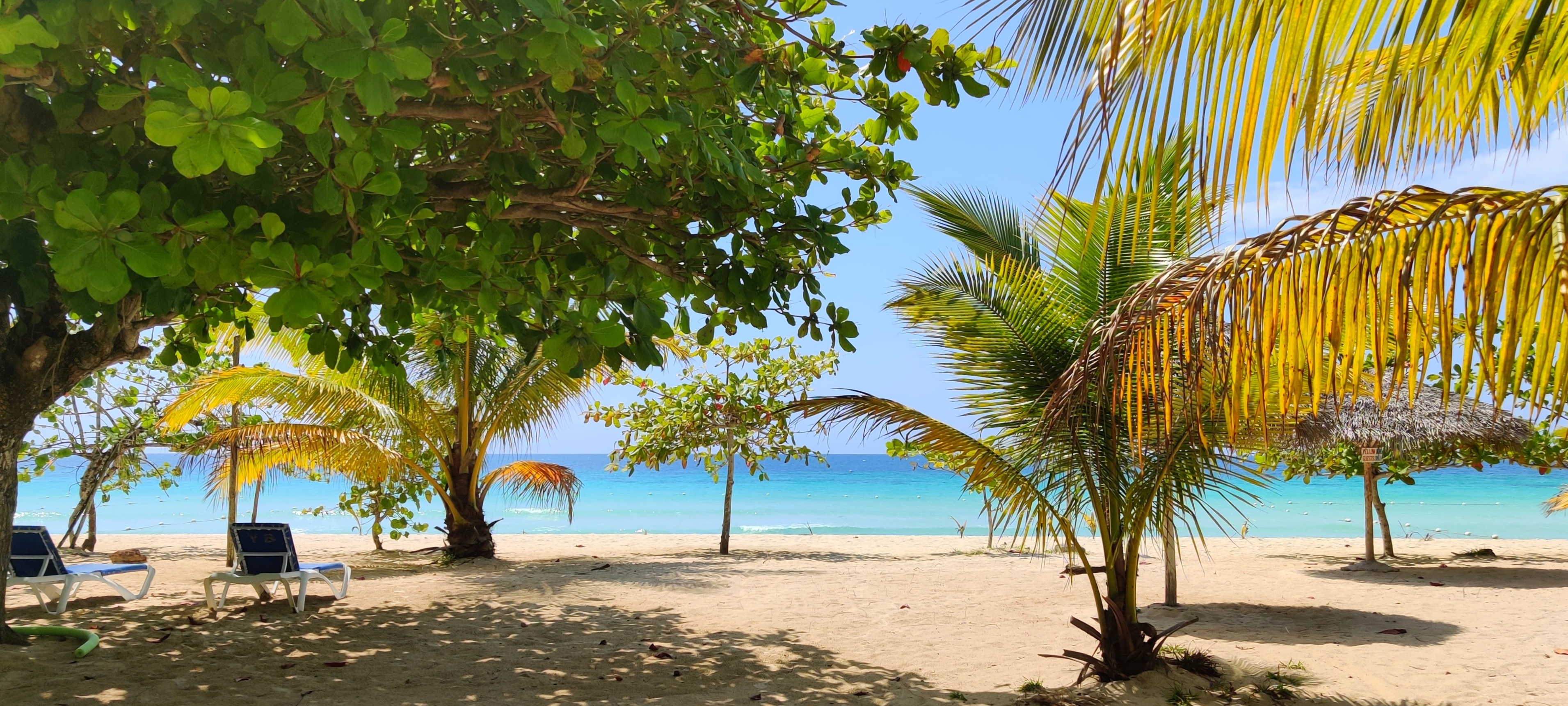 Name: IMG_20200330_140322__01__01__01.jpg
Views: 1931
Size: 2.27 MB