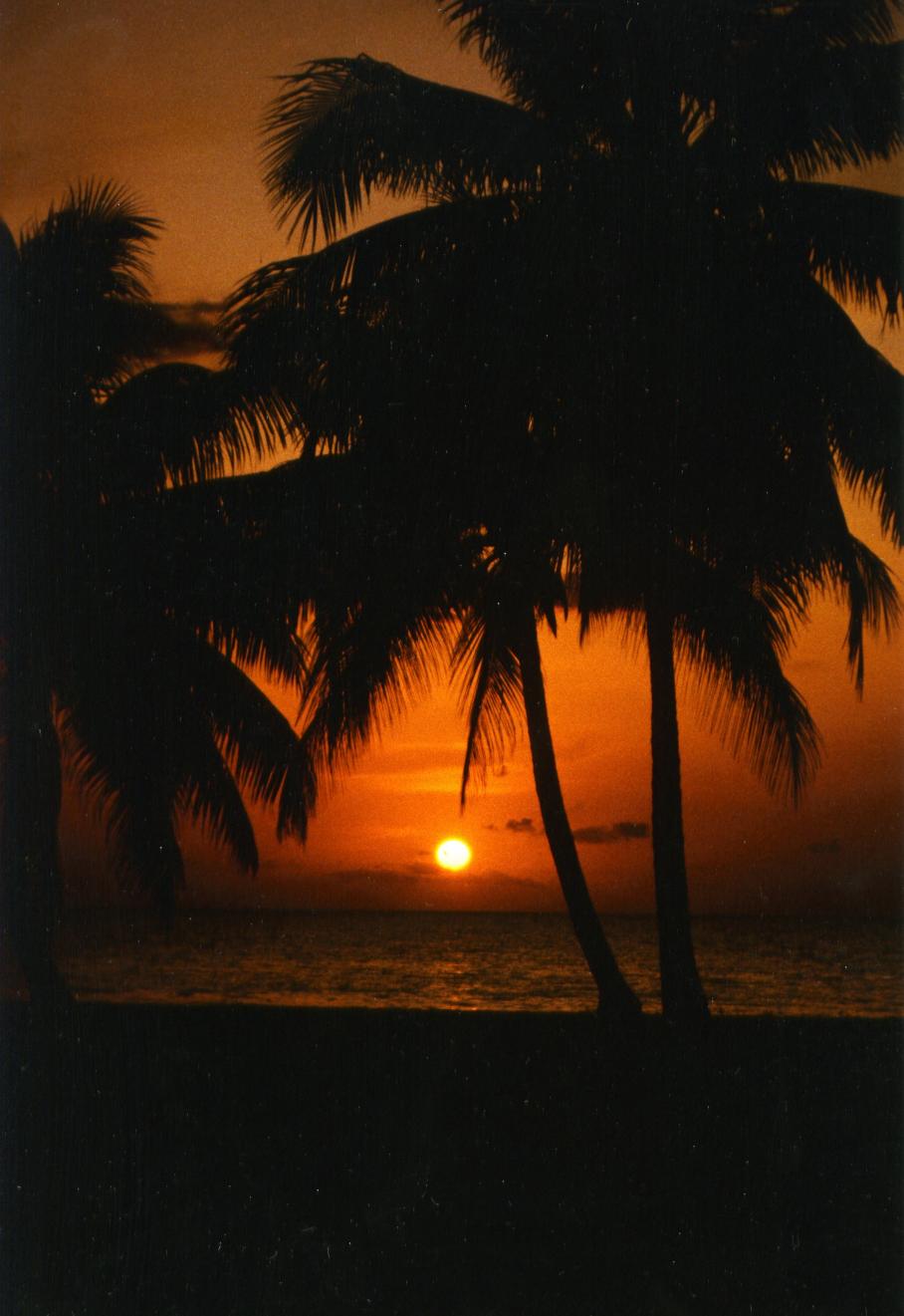 Name:  Negril Sunset.jpg
Views: 1111
Size:  92.0 KB