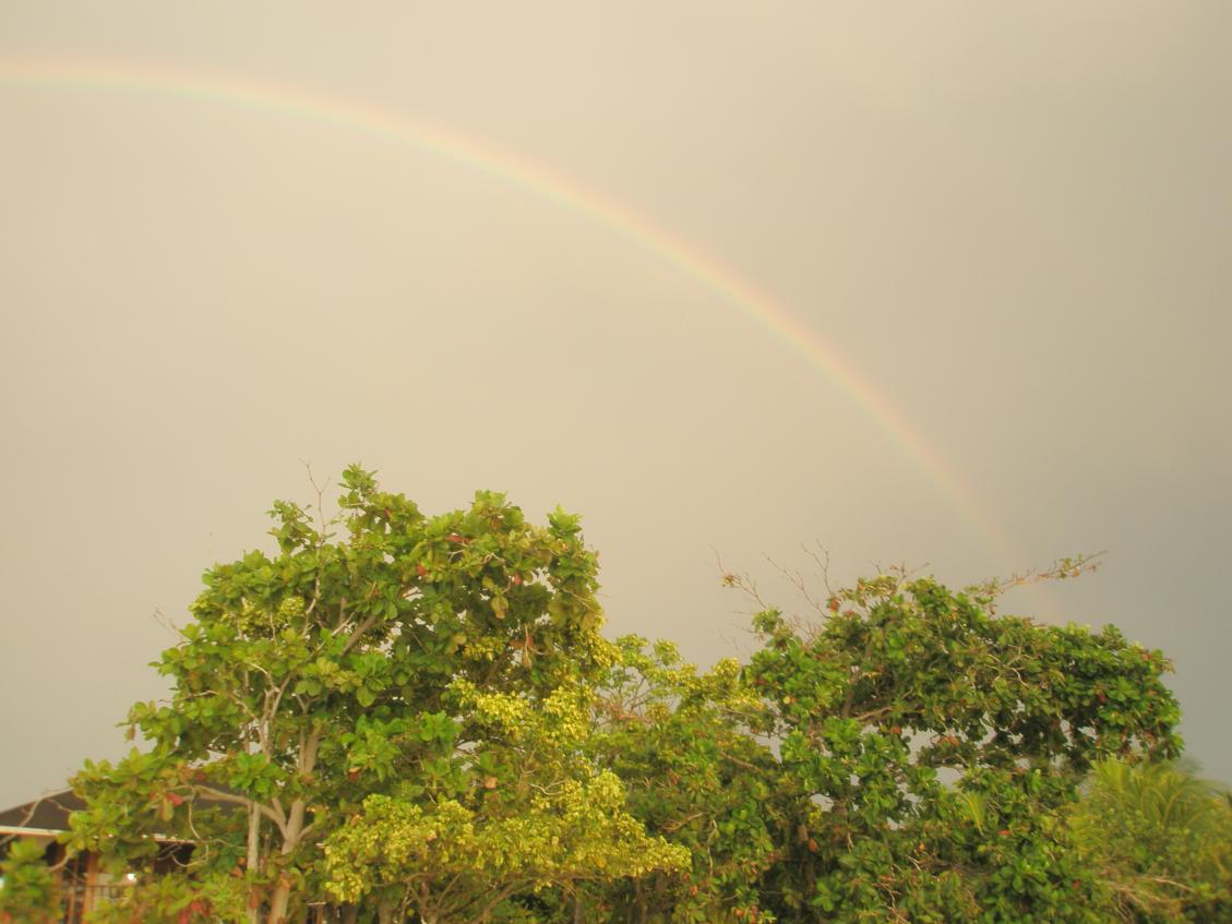 Name: P6240104.jpg
Views: 307
Size: 87.6 KB