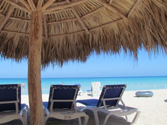 Name: IMG_4009.jpg
Views: 2094
Size: 45.8 KB