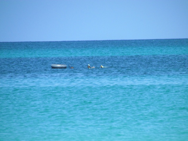 Name: IMG_4014.jpg
Views: 2133
Size: 75.8 KB